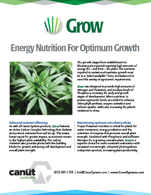 canut-systems_grow-flier-1