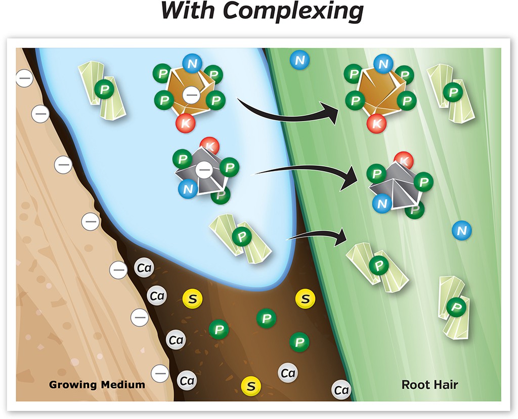 plant-nutrient-complexing_canut-systems